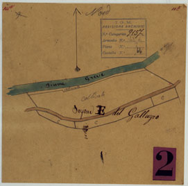 (N:24837) ELEMENTI PER LA FORMAZIONE DI UNA CARTA DELLA TOSCANA ALLA SCALA DI 1:28.800 - GALLUZZO. (CA005606) Carte e stampe antiche: riproduzione a colori su carta (formato A4)