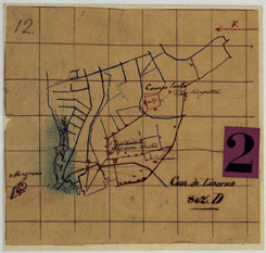 (N:24841) ELEMENTI PER LA FORMAZIONE DI UNA CARTA DELLA TOSCANA ALLA SCALA DI 1:28.800 - LIVORNO. (CA005617) Carte e stampe antiche: riproduzione a colori su carta (formato A4)